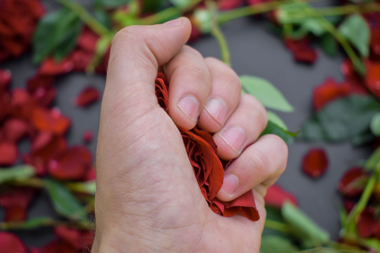 Máscaras faciais caseiras de rosas